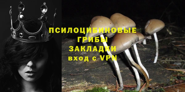 прущие крисы Абдулино