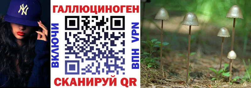гидра ссылки  Юрюзань  Галлюциногенные грибы мицелий 